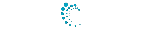 Ubitec System Solutions — Fiji's Digital & IT Partner